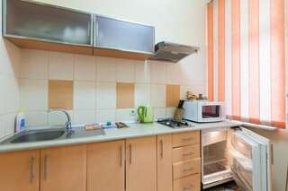 Апартаменты Апартаменты двухкомнатные с кондиционерами для 4-х Львов Апартаменты-16