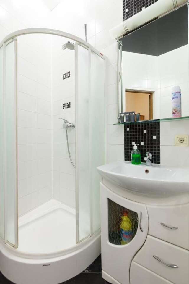 Апартаменты Апартаменты двухкомнатные с кондиционерами для 4-х Львов-43